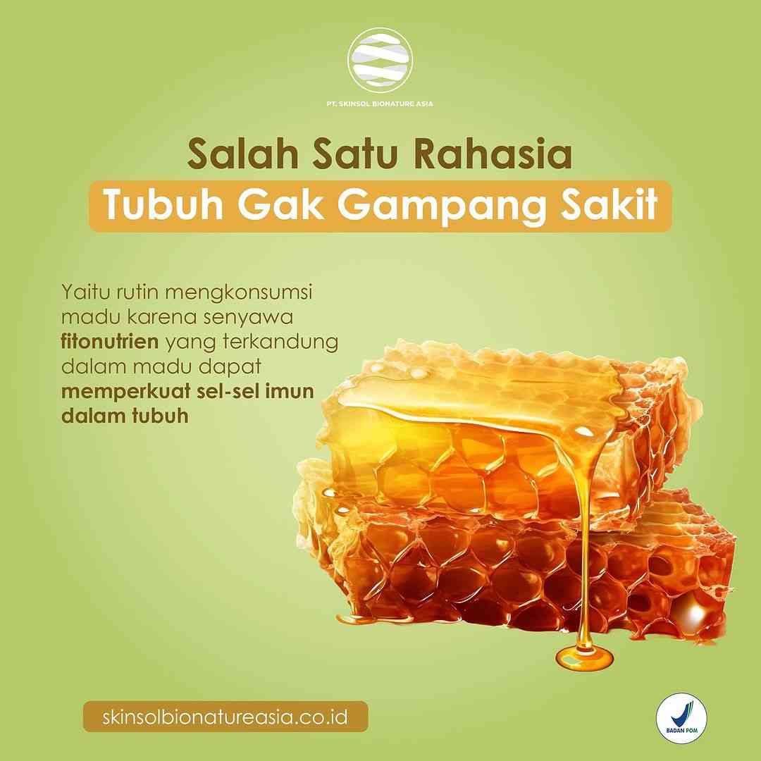 pabrik collagen